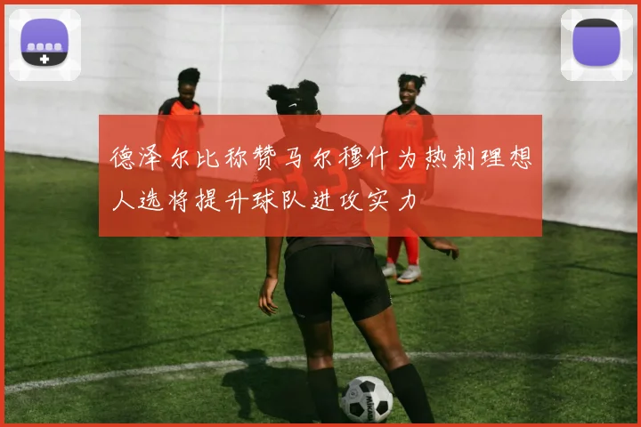 德泽尔比称赞马尔穆什为热刺理想人选将提升球队进攻实力